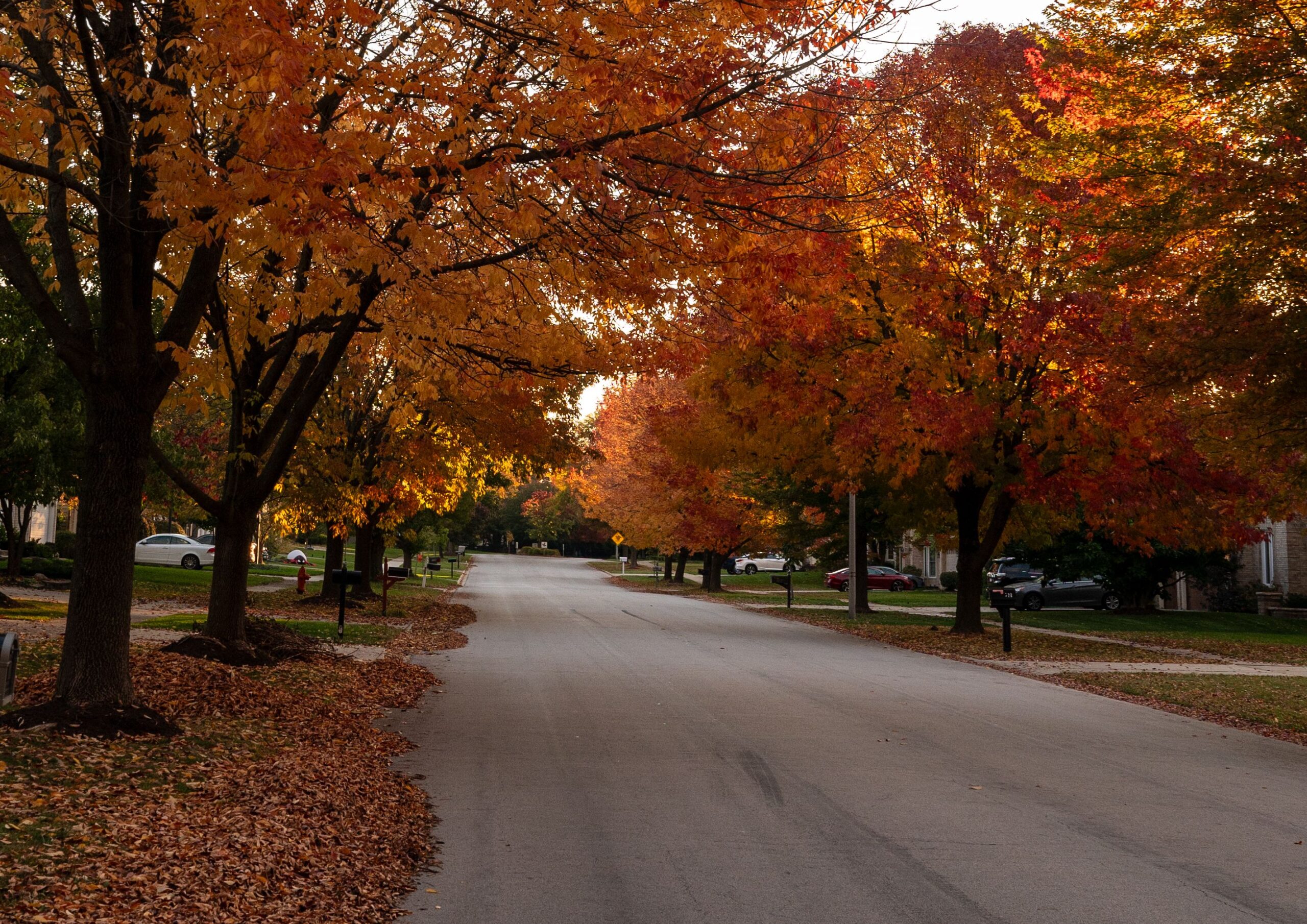 Best neighborhoods in Wooster Ohio with quiet residential streets